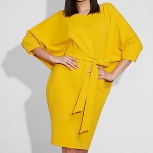 Gabrielle Union/ New York and company XS dress